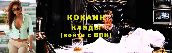 сатива Аркадак