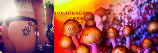 jwh Армянск