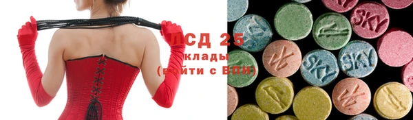 сатива Аркадак