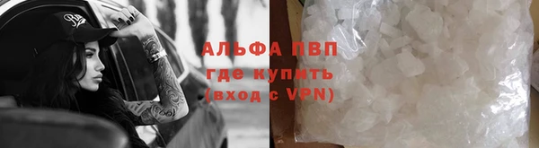 сатива Аркадак