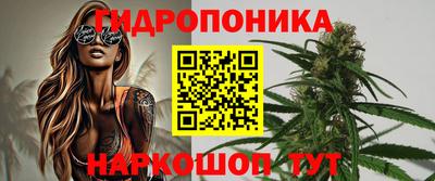 ешки Ставрополь