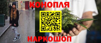 ешки Ставрополь