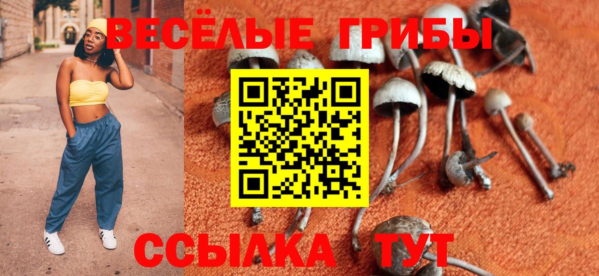 Галлюциногенные грибы GOLDEN TEACHER  Псилоцибиновые грибы MAGIC MUSHROOMS  закладки  Копейск  Вход с VPN 